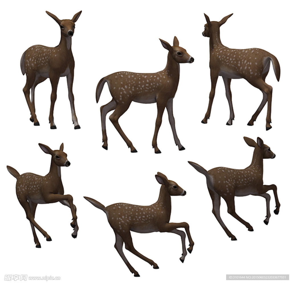 鹿素材