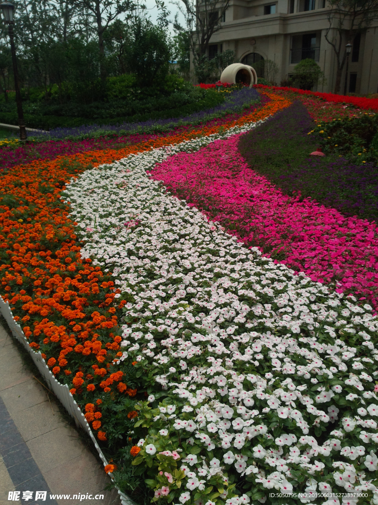 百花争艳