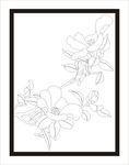 茶花