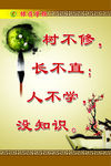 校园文化