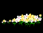 唯美鲜花摇摆flash动画