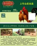 土鸡销售卡