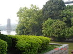 桂林杉湖风景