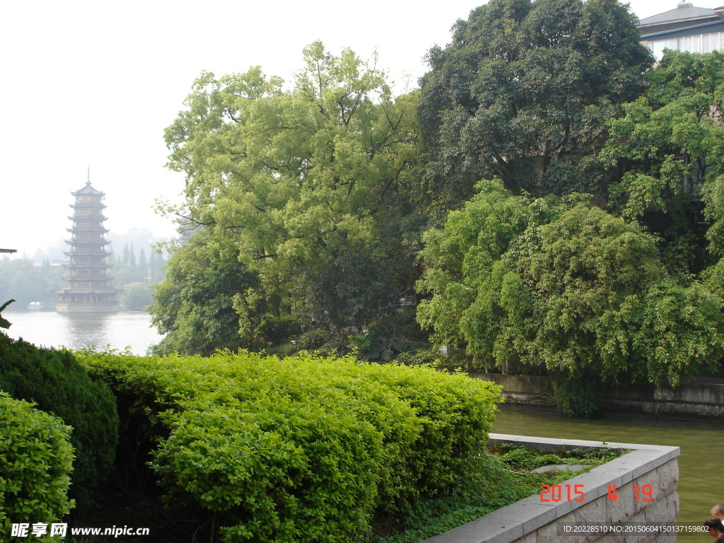 桂林杉湖风景