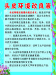 头皮改良液