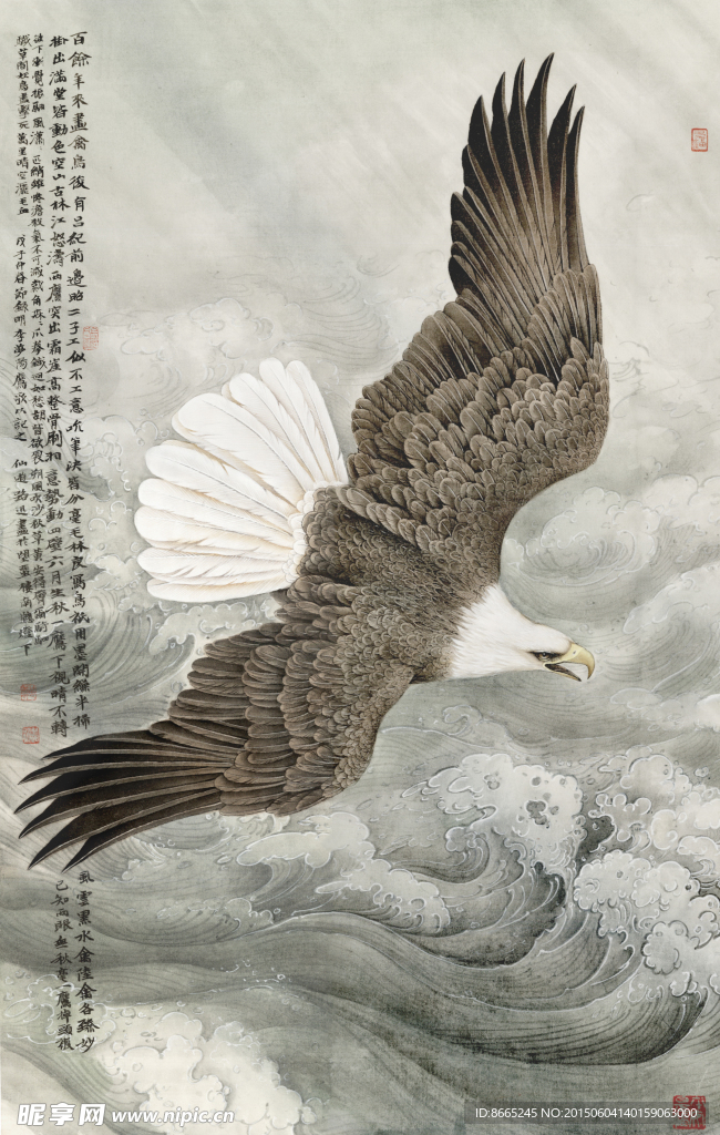 老鹰工笔画