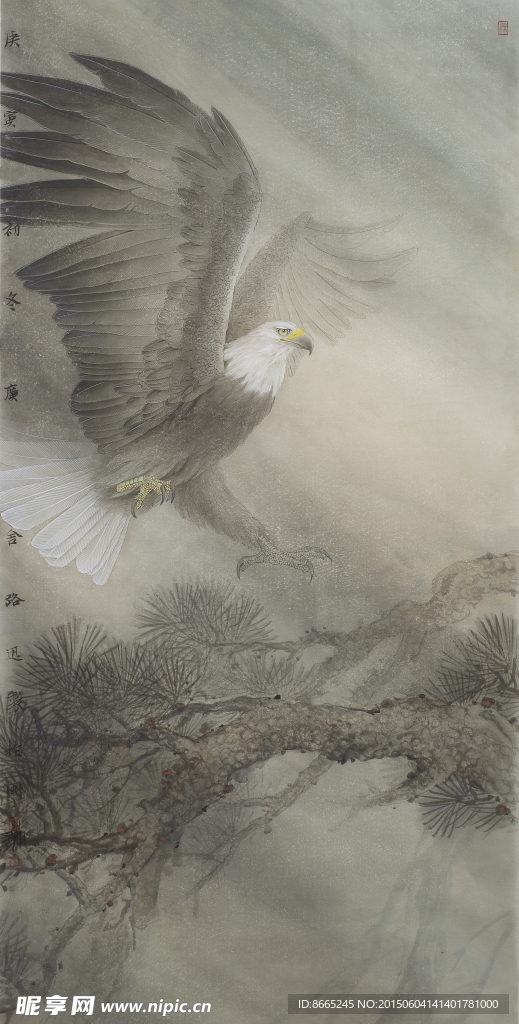 老鹰工笔画