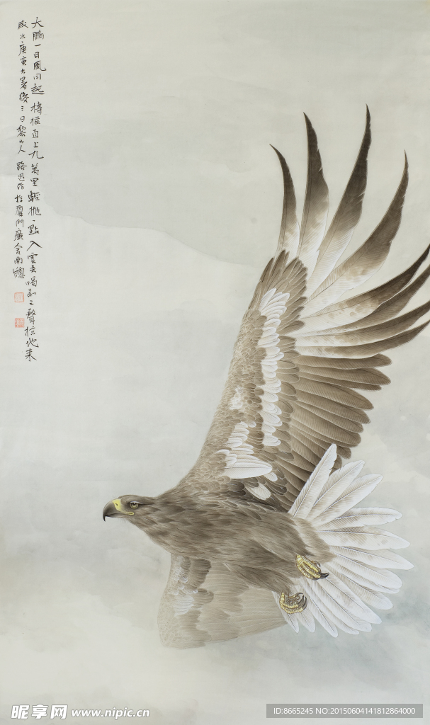 老鹰工笔画