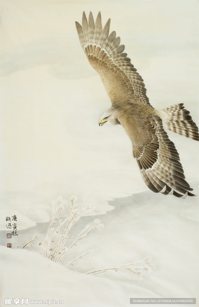 老鹰工笔画