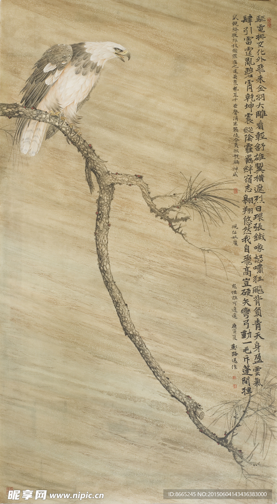 老鹰工笔画