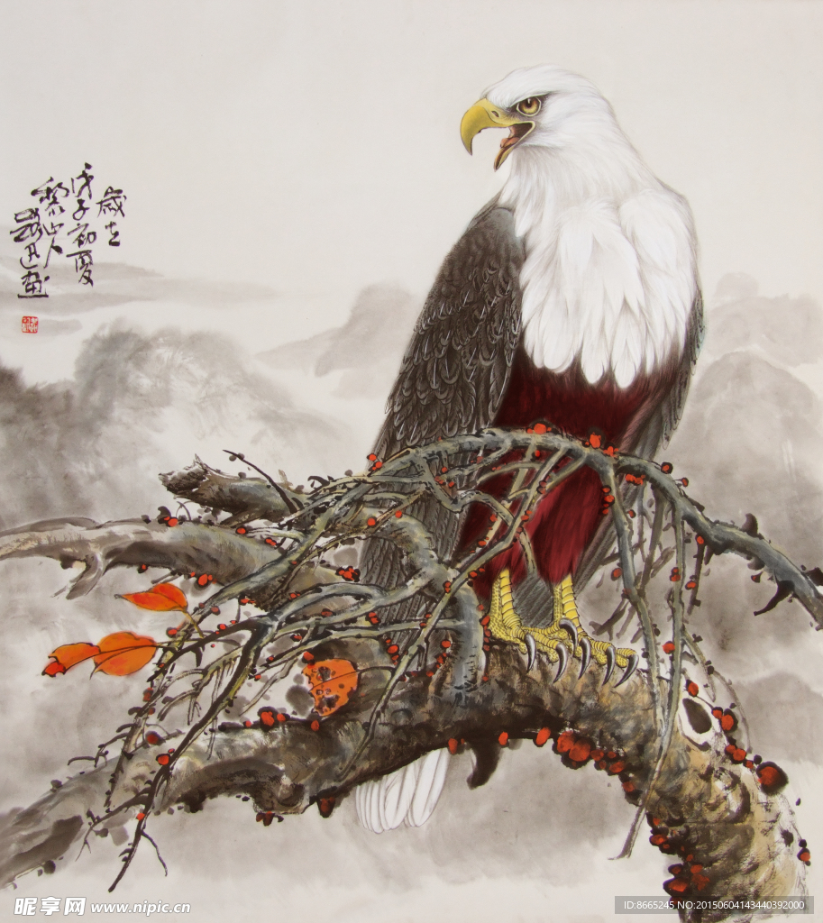 老鹰工笔画