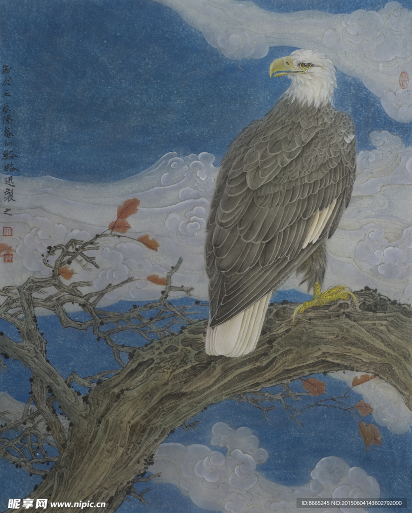 老鹰工笔画