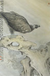 老鹰工笔画