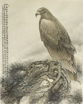 老鹰工笔画