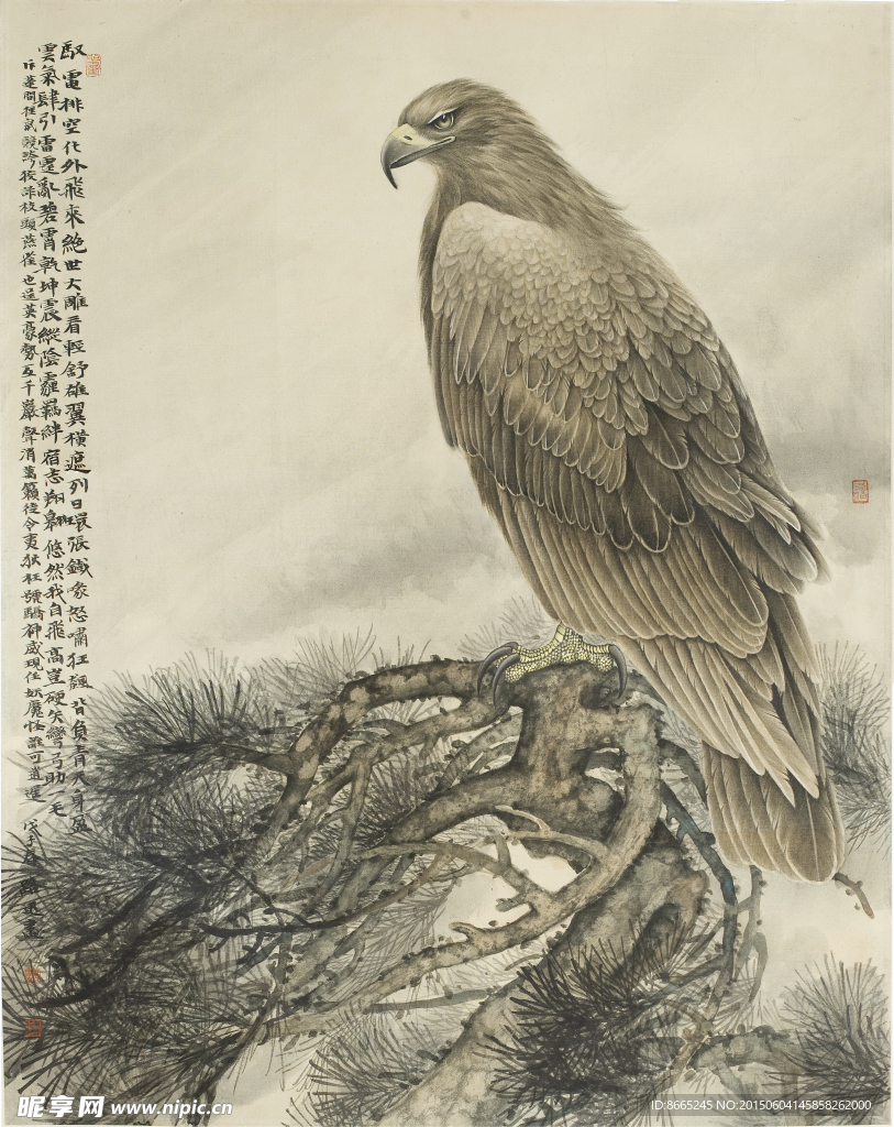 老鹰工笔画