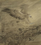 老鹰工笔画