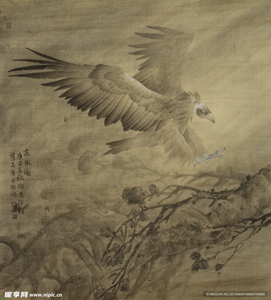 老鹰工笔画