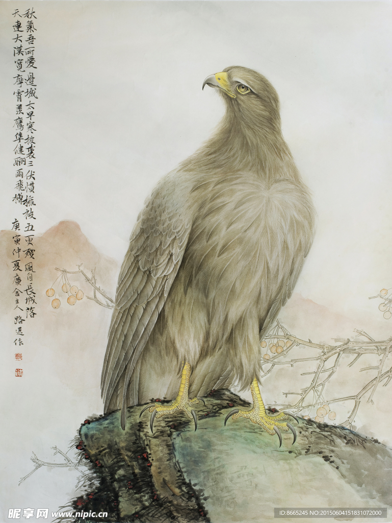 老鹰工笔画