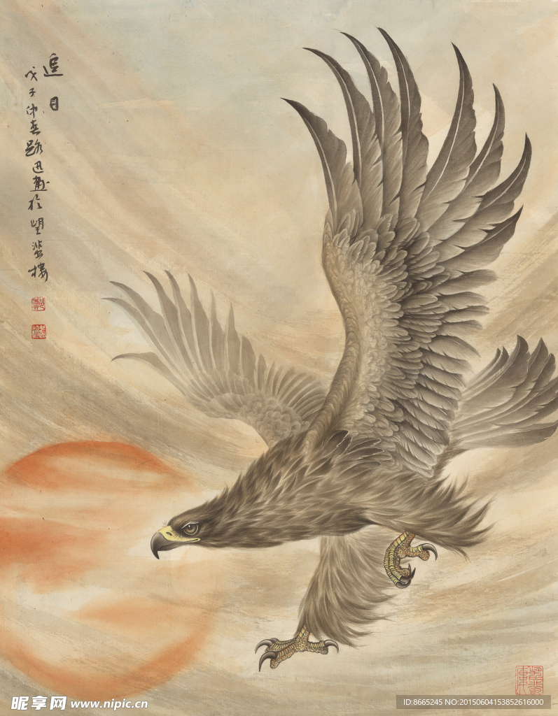 老鹰工笔画