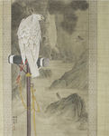 老鹰工笔画