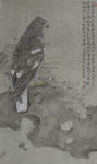老鹰工笔画