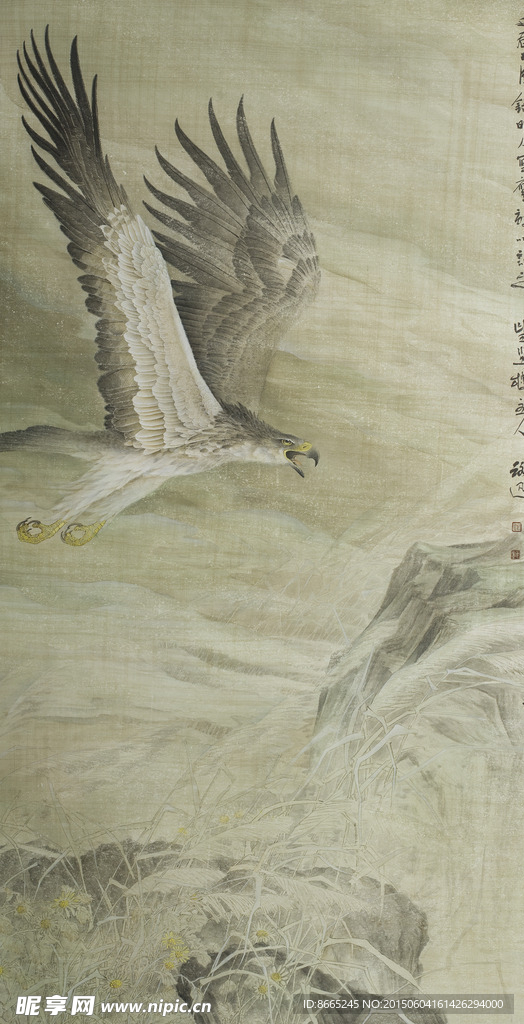 老鹰工笔画