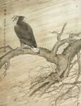 老鹰工笔画
