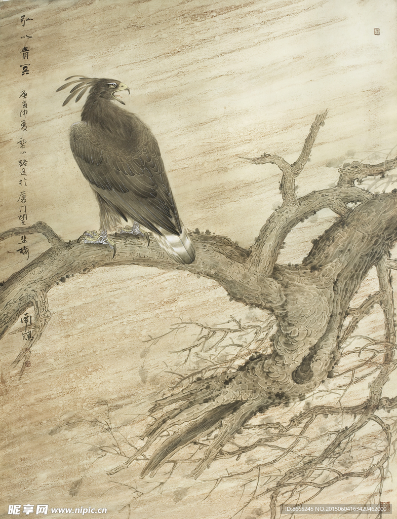 老鹰工笔画