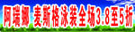 阿瑞娜