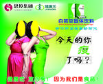 太太白芸豆