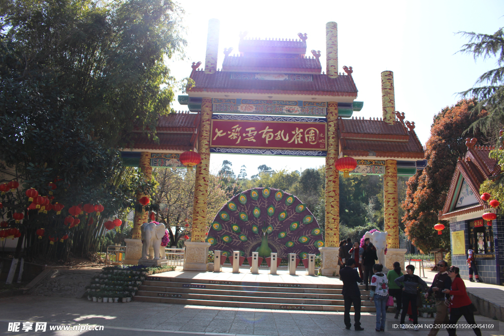 七彩 孔雀园