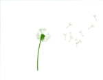 绿色蒲公英flash矢量素材