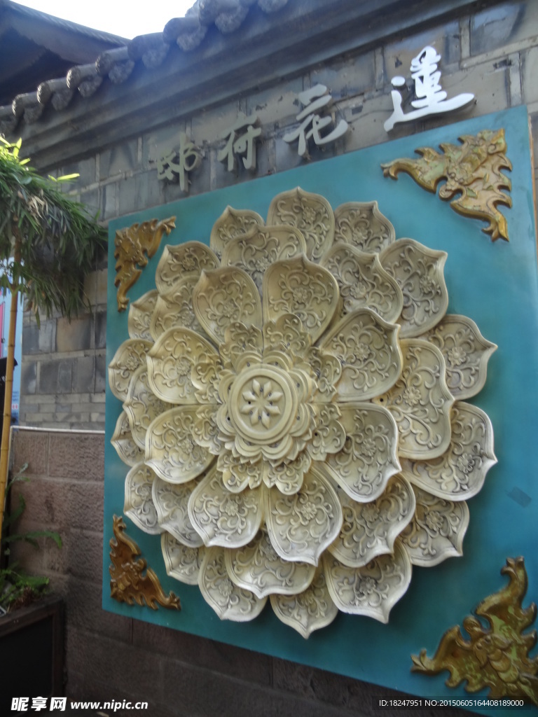 荷花