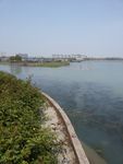 太湖风景