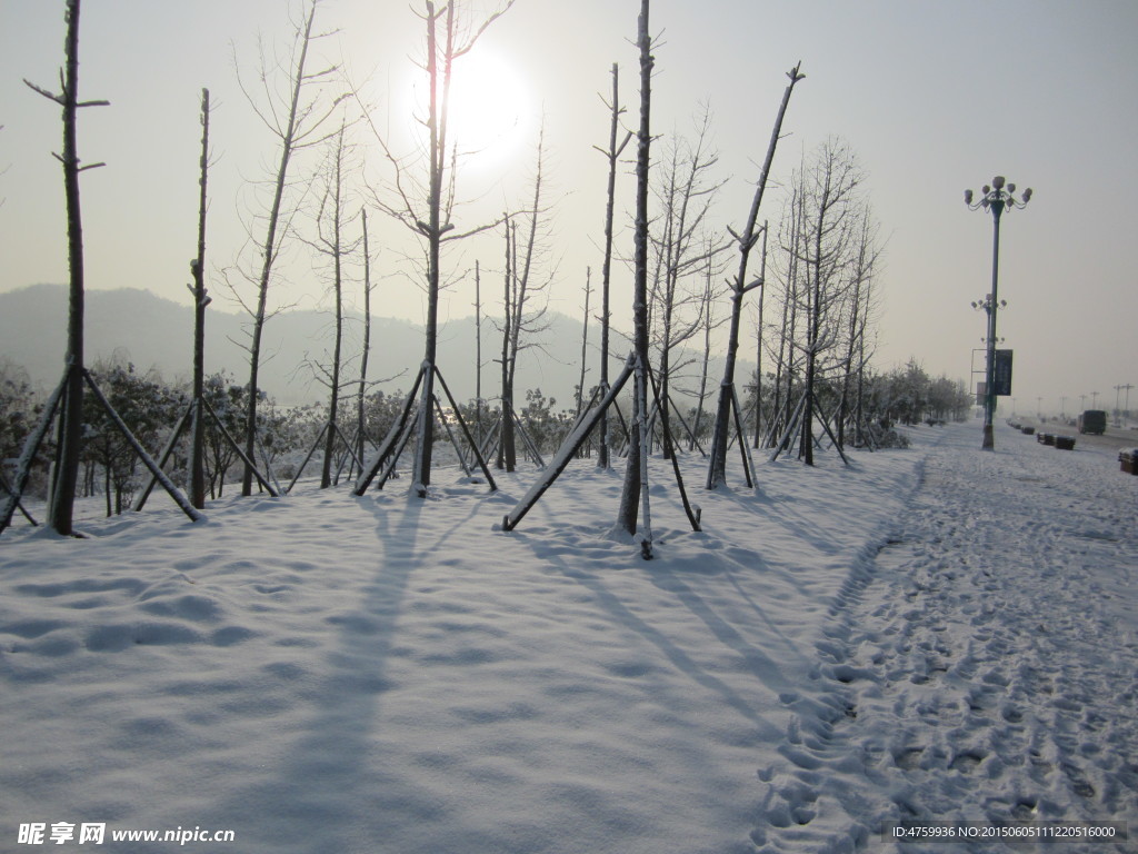 雪景