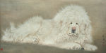 獒犬