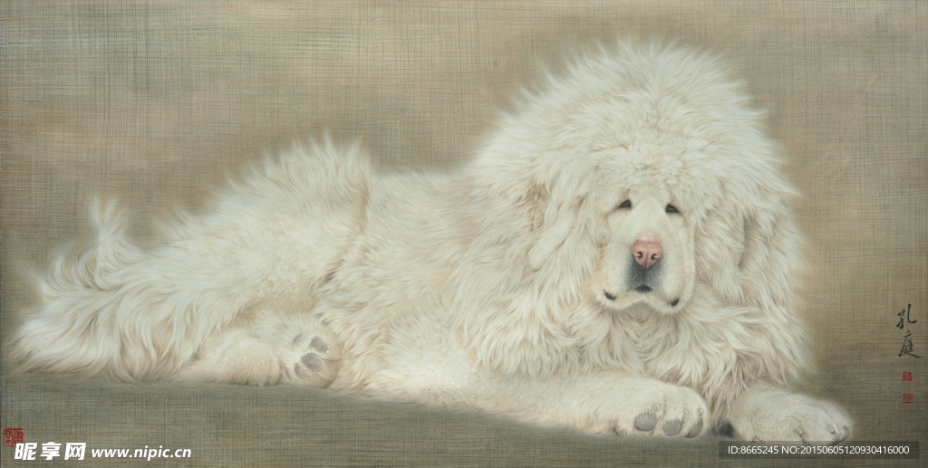獒犬