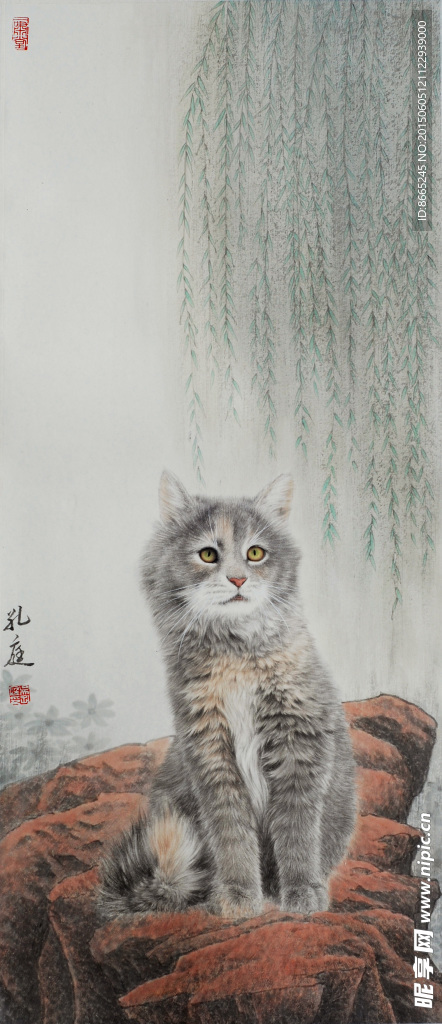 猫
