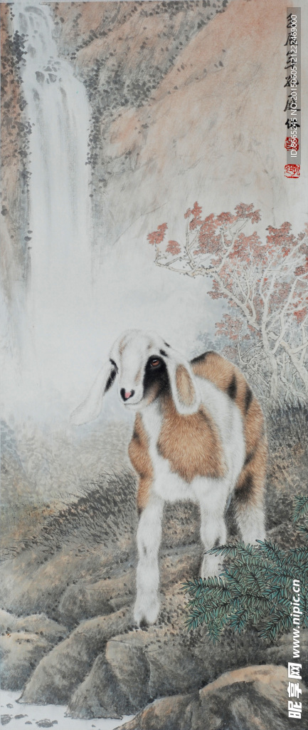 绵羊