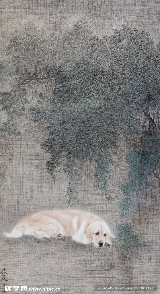 狗犬