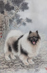 狗犬