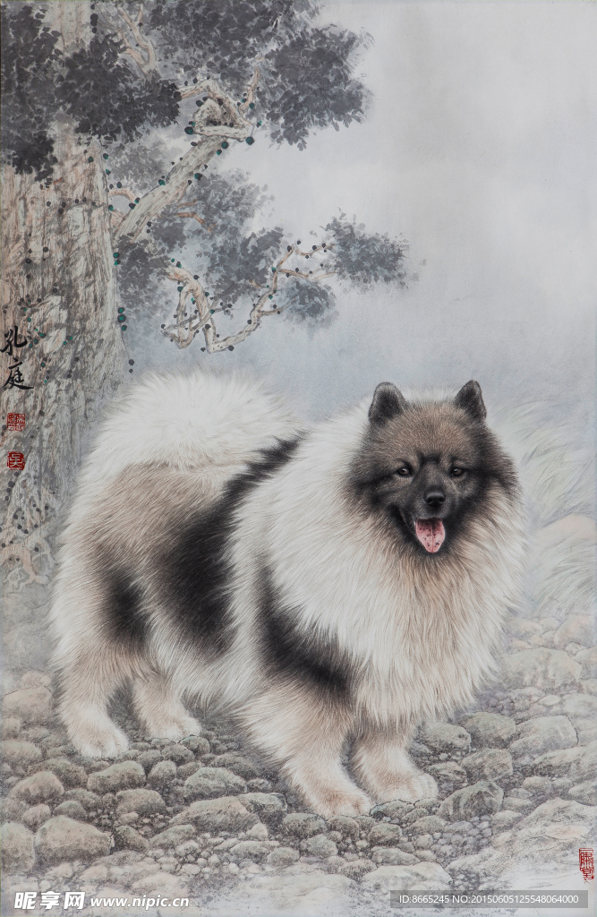 狗犬