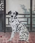 斑点狗犬
