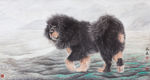 獒犬