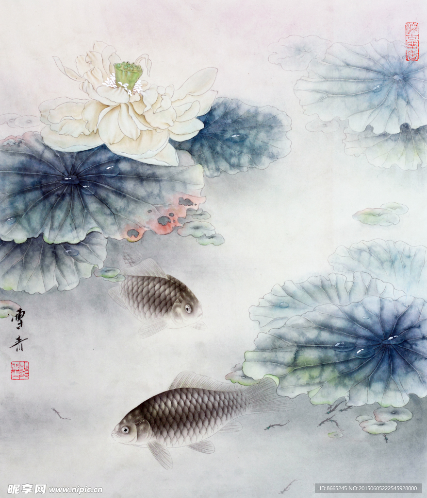 荷花鱼