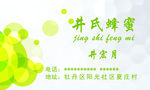 绿色名片