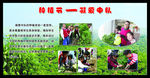 绿色清新背景图片环保宣传栏