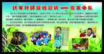 绿色清新背景环保宣传栏