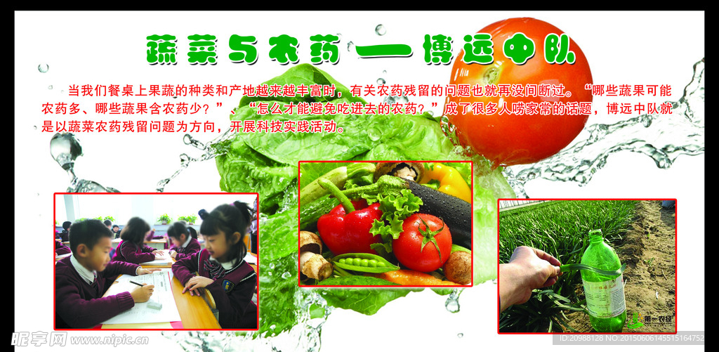 水果背景素材水果宣传栏
