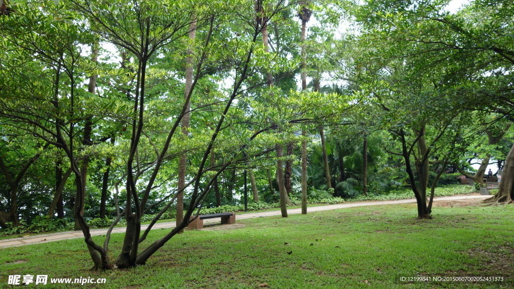 公园一角